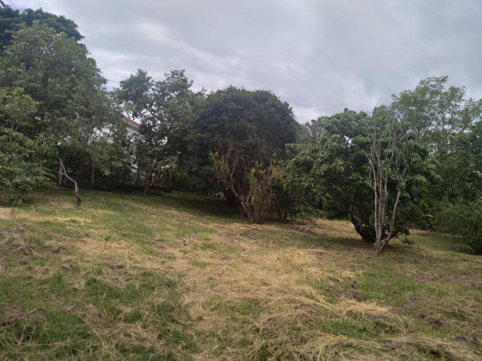 Villa Casa Delicia Em Passa Quatro Ate 6 Pessoas Exterior foto