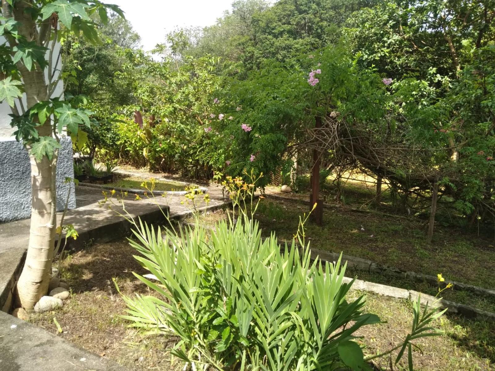 Villa Casa Delicia Em Passa Quatro Ate 6 Pessoas Exterior foto